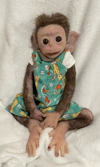 a baby monkey in a green dress sitting on a blanket